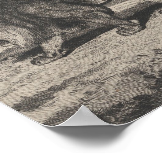 leeuwenkaart poster (Hoek)