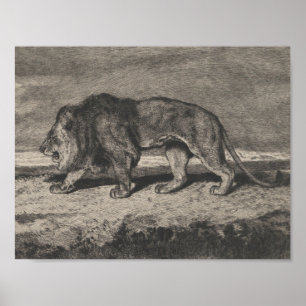 leeuwenkaart poster