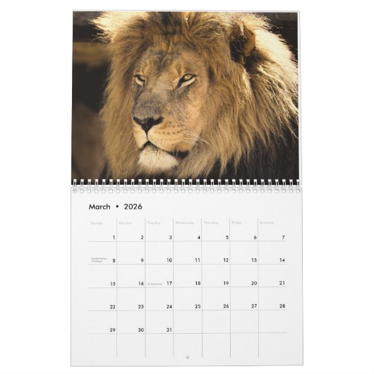 Leeuwenkalender 2025 kalender (Mar 2026)