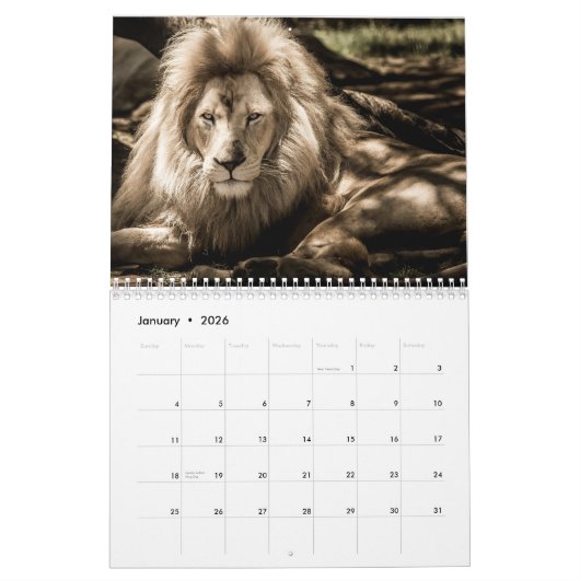 Leeuwenkalender 2025 kalender (Jan 2026)