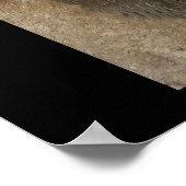 Leeuwenkoning van de Jungle Poster (Hoek)