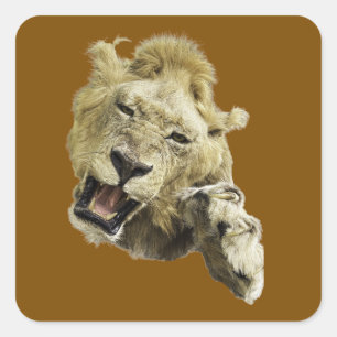 Leeuwenkop met voorwaartse poot met klauwen & mond vierkante sticker
