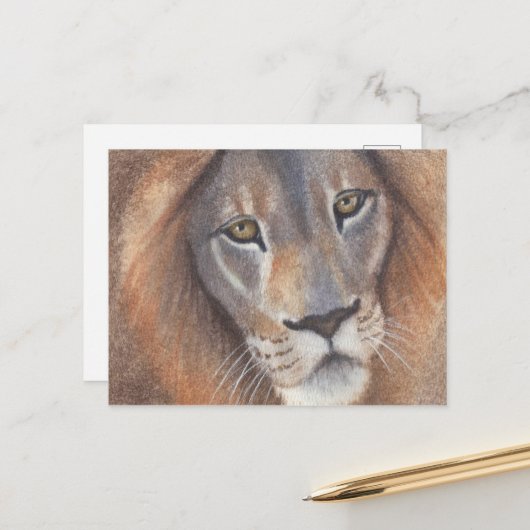 Leeuwenogen Briefkaart (Voorkant / Achterkant in situ)