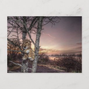 Leeuwenpop bij dageraad ansichtkaart briefkaart