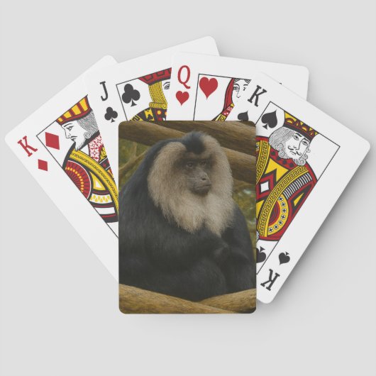 Leeuwenstaartmakaak in bosreservaat pokerkaarten (Achterkant)