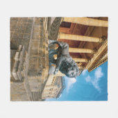 Leeuwenstandbeeld Fleece Deken (Voorkant (Horizontaal))
