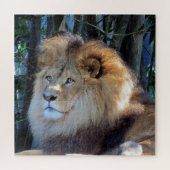 leeuwenuiterlijk legpuzzel (Horizontaal)