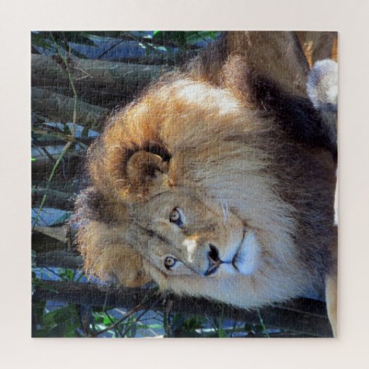 leeuwenuiterlijk legpuzzel (Verticaal)