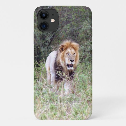 leeuwenwandeling Case-Mate iPhone case (Achterkant)