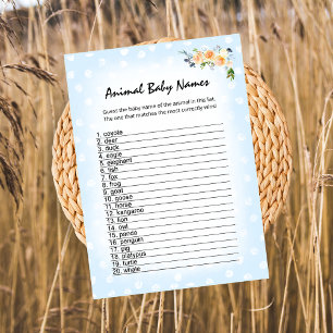 Leeuwenwelp Bloem Blauw Dieren Baby Namen Shower S Programma