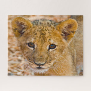 Leeuwenwelp Grote Katachtigen. Legpuzzel