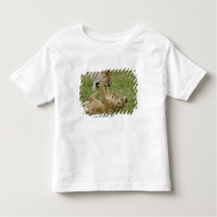 Leeuwenwelp spelen kinder shirts