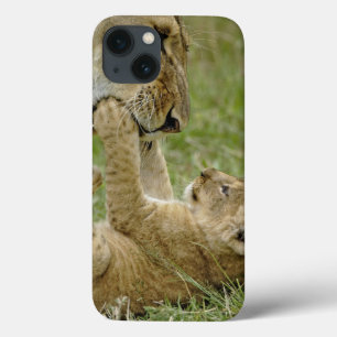 Leeuwenwelp Spelend iPhone 13 Hoesje
