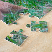 Leeuwenwelpen Grote Katachtigen. Legpuzzel (Zijkant)