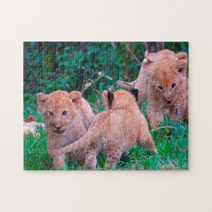 Leeuwenwelpen Grote Katachtigen. Legpuzzel