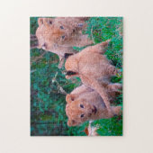 Leeuwenwelpen Grote Katachtigen. Legpuzzel (Verticaal)