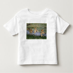 Leeuwenwelpen op log kinder shirts