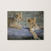 Leeuwenwelpen op log legpuzzel (Horizontaal)