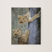 Leeuwenwelpen op log legpuzzel (Verticaal)