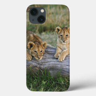 Leeuwenwelpen op stam iPhone 13 hoesje