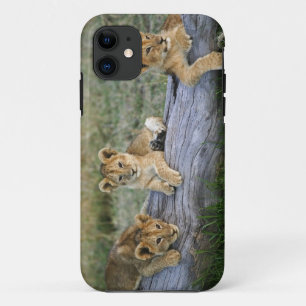 Leeuwenwelpen op stam iPhone 11 hoesje