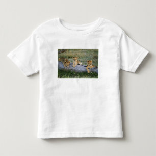 Leeuwenwelpen op stam kinder shirts