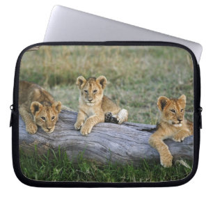 Leeuwenwelpen op stam laptop sleeve