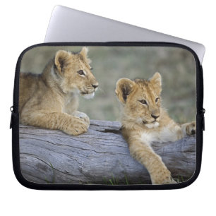 Leeuwenwelpen op stam laptop sleeve