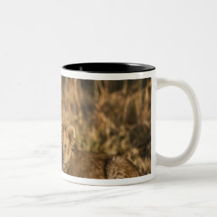 Leeuwenwelpen op stam tweekleurige koffiemok