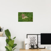 Leeuwenwelpje in het gras poster (Thuiskantoor)