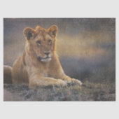 Leeuwenwelpje ontkoppeling tissuepapier (Voorkant)