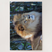 leeuwerik legpuzzel (Verticaal)