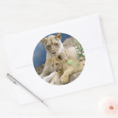 Leeuwin en welp Sticker (Envelop)