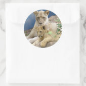 Leeuwin en welp Sticker (Tas)