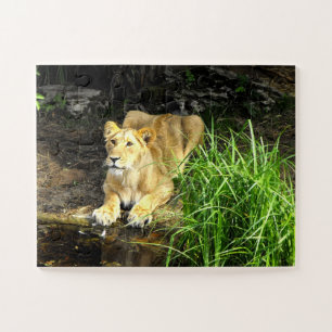 Leeuwin Legpuzzel