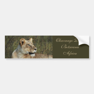Leeuwin safari-bumperstickers bumpersticker