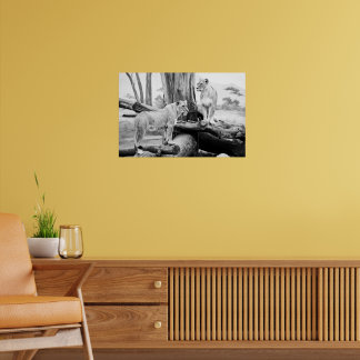 Leeuwin Wildlife Zwart & Wit Fotografie Kunst Poster