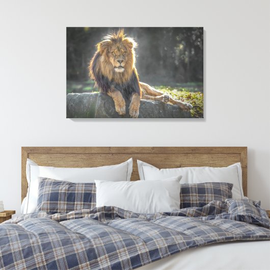 Leeuwkoning van het Oerwoud Canvas Afdruk (Insitu (Slaapkamer))