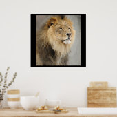 Leeuwkoning van het Oerwoud Poster (Keuken)