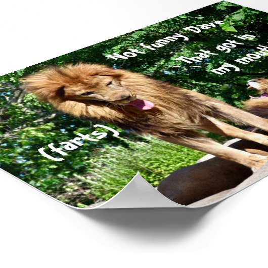 Leeuwschilfers Poster (Hoek)