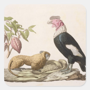 Leeuwse apen en condor, inheems in Chili of Ecuado Vierkante Sticker