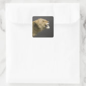 Leeuwse roker 2 vierkante sticker (Tas)