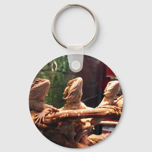 Leezard Trio Sleutelhanger (Voorkant)