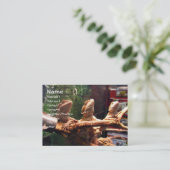 Leezerds Visitekaartjes (Staand voorkant)