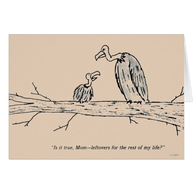 Leftovers (Voorkant Horizontaal)