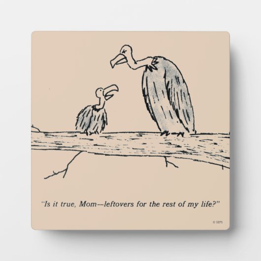 Leftovers Fotoplaat (Voorkant)