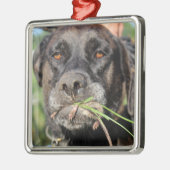 Lefty & The Vole Ornament (Links)