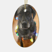 Lefy + Lights Hoiday Ornament (Links)