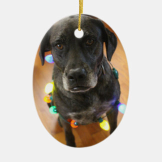 Lefy + Lights Hoiday Ornament