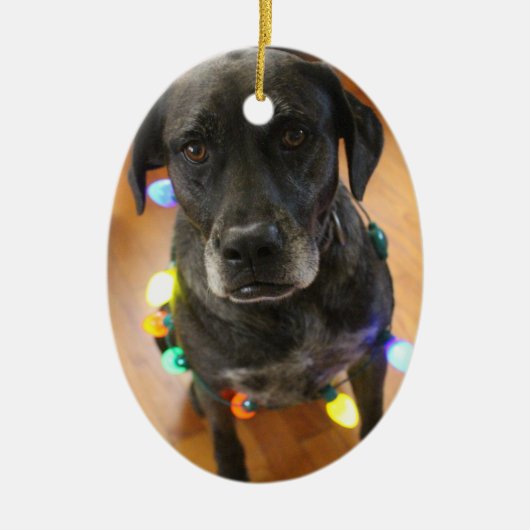 Lefy + Lights Hoiday Ornament (Voorkant)